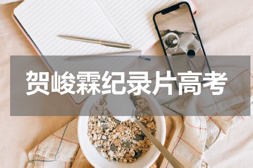 贺峻霖纪录片高考