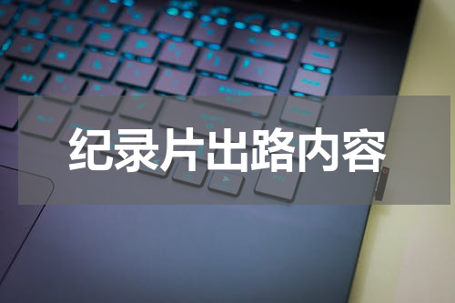 纪录片出路内容