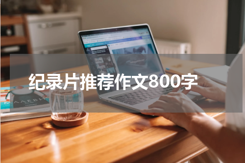 纪录片推荐作文800字