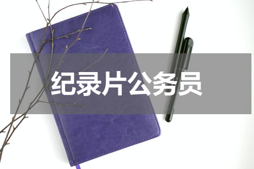 纪录片公务员