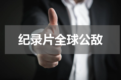 纪录片全球公敌