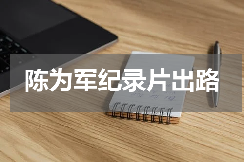 陈为军纪录片出路