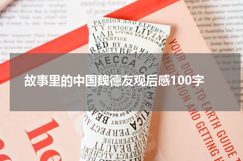 故事里的中国魏德友观后感100字