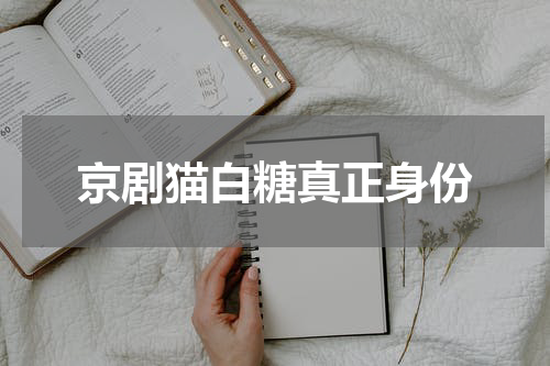 京剧猫白糖真正身份
