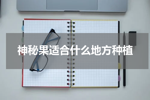 神秘果适合什么地方种植