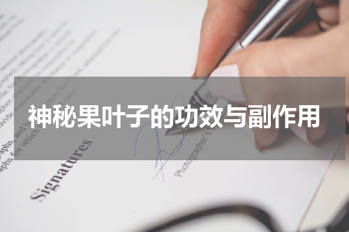 神秘果叶子的功效与副作用