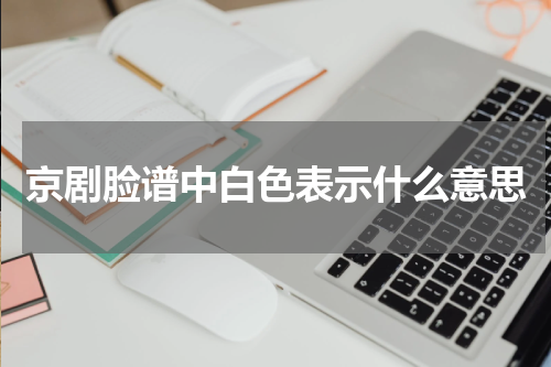京剧脸谱中白色表示什么意思