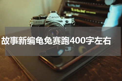 故事新编龟兔赛跑400字左右