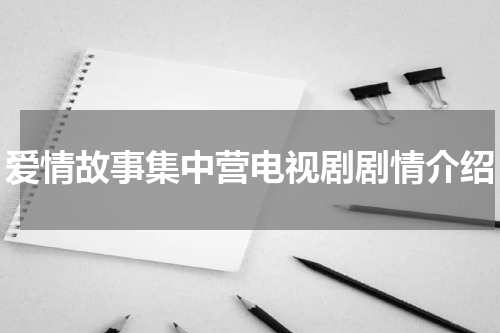 爱情故事集中营电视剧剧情介绍