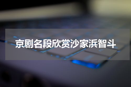 京剧名段欣赏沙家浜智斗