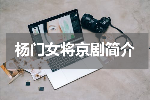杨门女将京剧简介