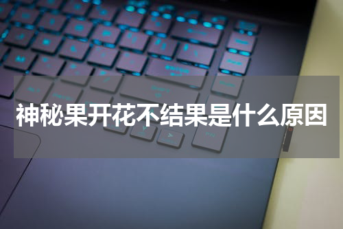 神秘果开花不结果是什么原因