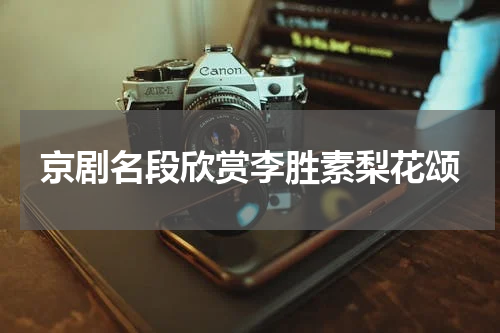 京剧名段欣赏李胜素梨花颂