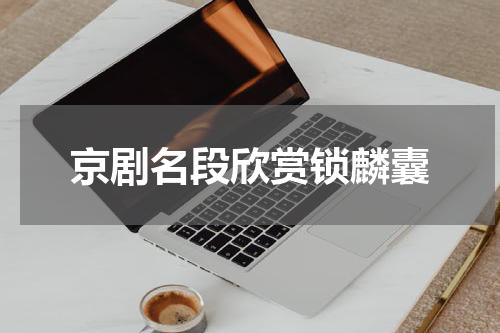 京剧名段欣赏锁麟囊