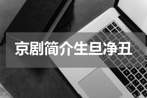 京剧简介生旦净丑