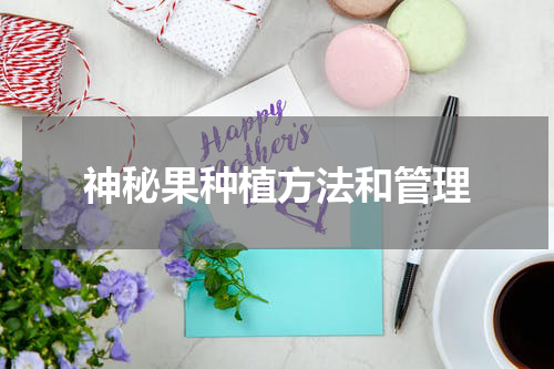 神秘果种植方法和管理