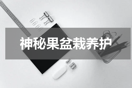 神秘果盆栽养护