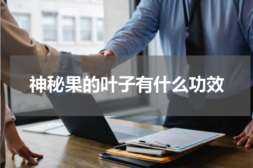 神秘果的叶子有什么功效