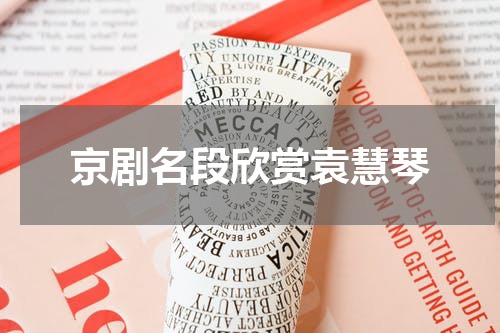 京剧名段欣赏袁慧琴