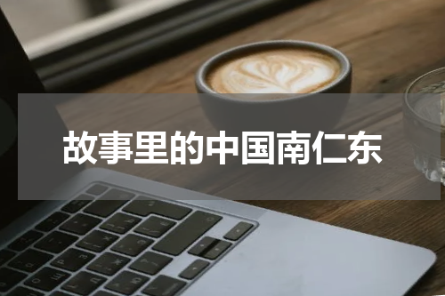 故事里的中国南仁东