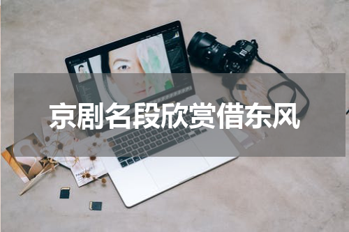 京剧名段欣赏借东风