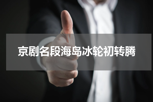 京剧名段海岛冰轮初转腾