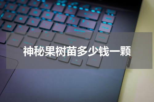 神秘果树苗多少钱一颗