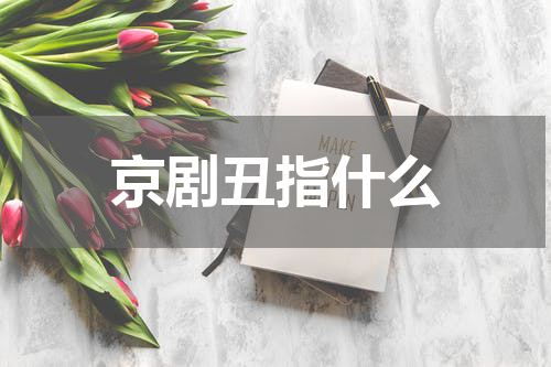 京剧丑指什么