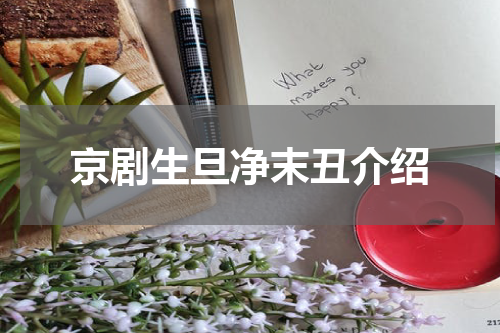 京剧生旦净末丑介绍