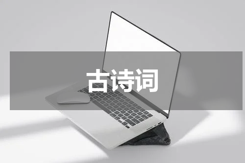 古诗词