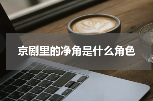 京剧里的净角是什么角色