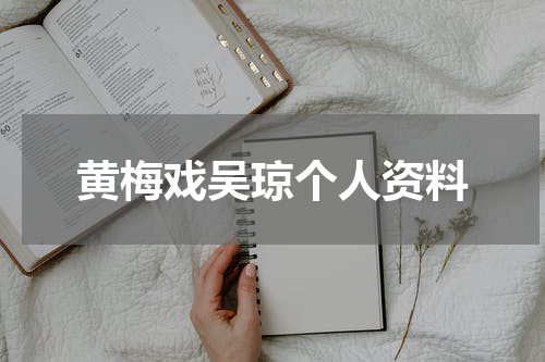 黄梅戏吴琼个人资料