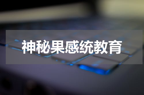 神秘果感统教育