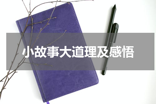 小故事大道理及感悟