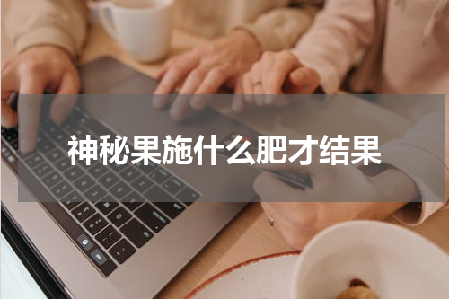 神秘果施什么肥才结果