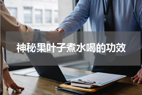 神秘果叶子煮水喝的功效