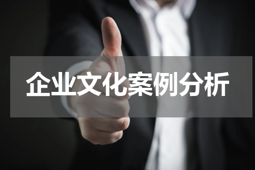 企业文化案例分析