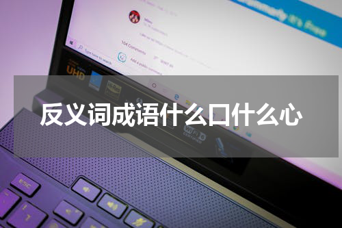 反义词成语什么口什么心