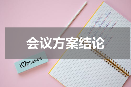 会议方案结论
