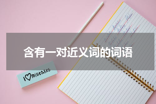 含有一对近义词的词语