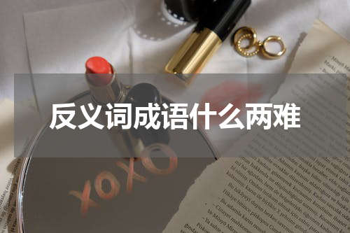反义词成语什么两难