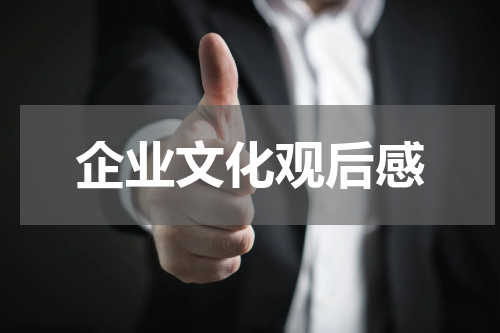 企业文化观后感