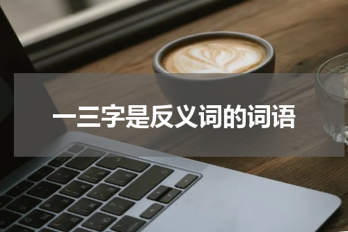 一三字是反义词的词语