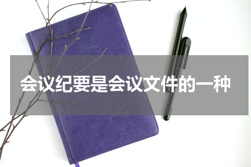 会议纪要是会议文件的一种
