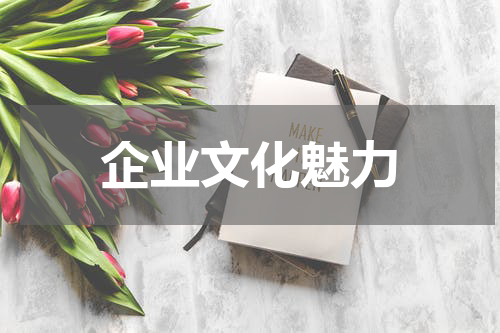 企业文化魅力