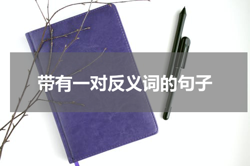 带有一对反义词的句子