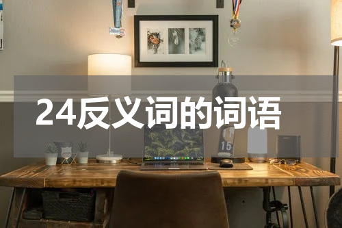 24反义词的词语