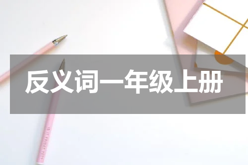 反义词一年级上册