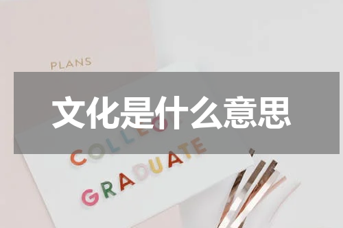 文化是什么意思