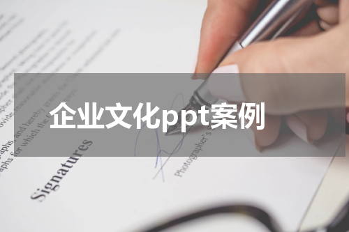企业文化ppt案例